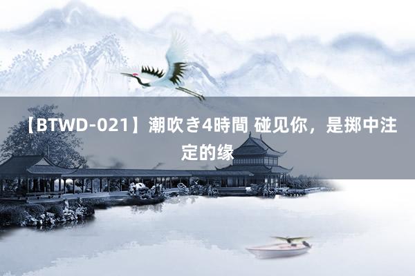 【BTWD-021】潮吹き4時間 碰见你,是掷中注定的缘