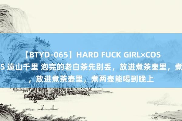 【BTYD-065】HARD FUCK GIRL×COSPLAY PRINCESS 遠山千里 泡完的老白茶先别丢,放进煮茶壶里,煮两壶能喝到晚上