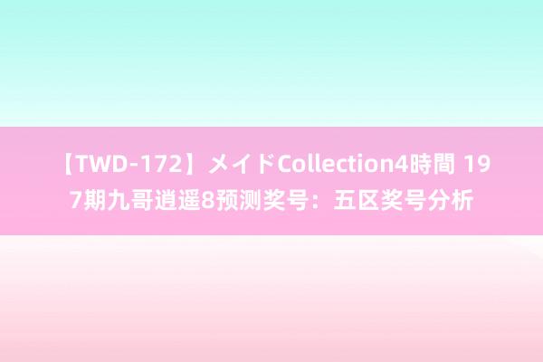 【TWD-172】メイドCollection4時間 197期九哥逍遥8预测奖号:五区奖号分析