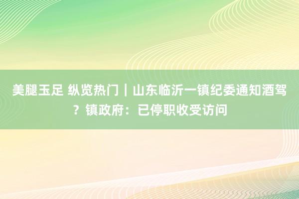 美腿玉足 纵览热门|山东临沂一镇纪委通知酒驾?镇政府:已停职收受访问