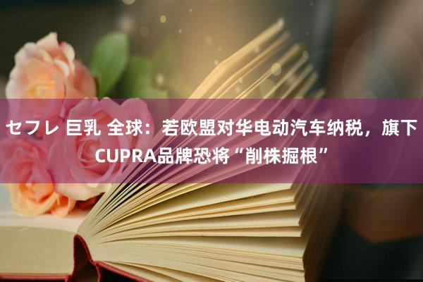 セフレ 巨乳 全球:若欧盟对华电动汽车纳税,旗下CUPRA品牌恐将“削株掘根”