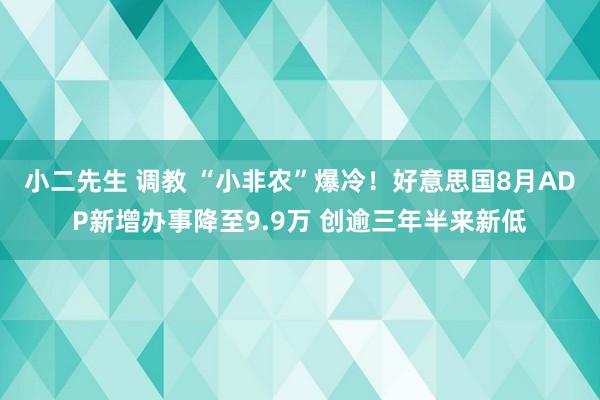 小二先生 调教 “小非农”爆冷!好意思国8月ADP新增办事降至9.9万 创逾三年半来新低