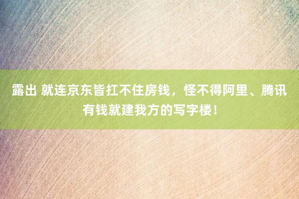 露出 就连京东皆扛不住房钱,怪不得阿里、腾讯有钱就建我方的写字楼!