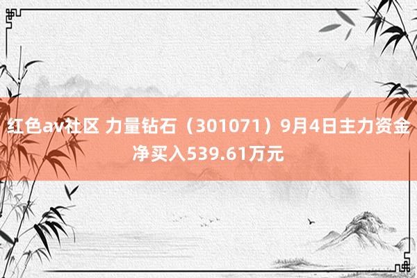 红色av社区 力量钻石(301071)9月4日主力资金净买入539.61万元