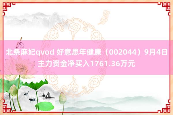 北条麻妃qvod 好意思年健康(002044)9月4日主力资金净买入1761.36万元