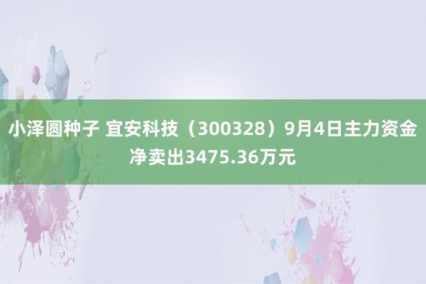 小泽圆种子 宜安科技(300328)9月4日主力资金净卖出3475.36万元