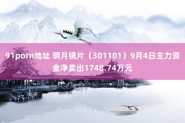 91porn地址 明月镜片(301101)9月4日主力资金净卖出1748.74万元