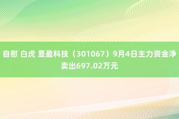 自慰 白虎 显盈科技(301067)9月4日主力资金净卖出697.02万元