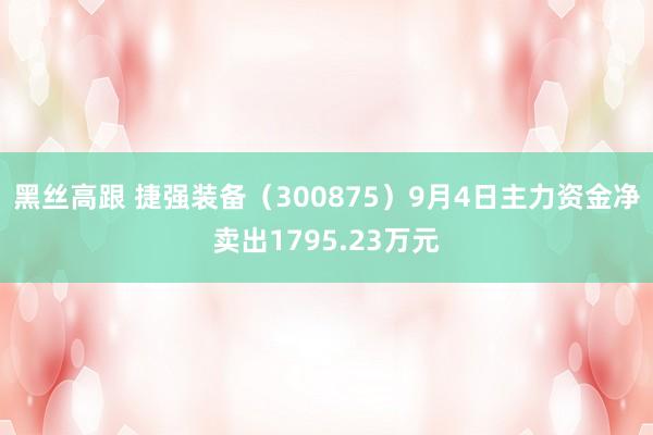 黑丝高跟 捷强装备(300875)9月4日主力资金净卖出1795.23万元