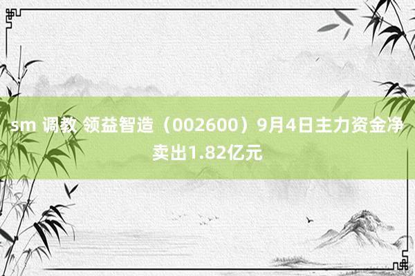 sm 调教 领益智造(002600)9月4日主力资金净卖出1.82亿元