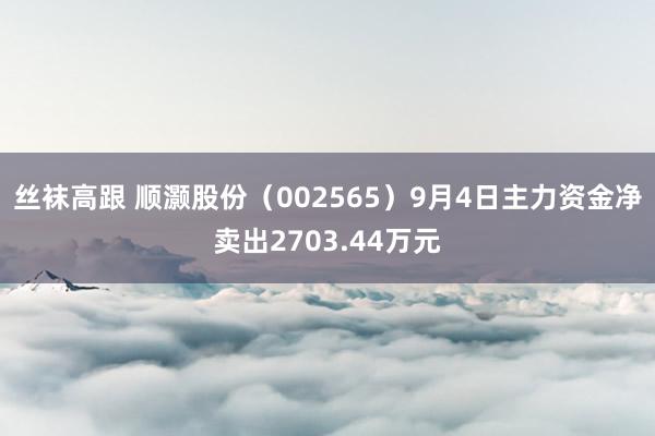 丝袜高跟 顺灏股份(002565)9月4日主力资金净卖出2703.44万元