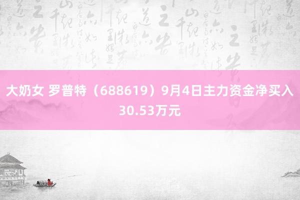 大奶女 罗普特(688619)9月4日主力资金净买入30.53万元
