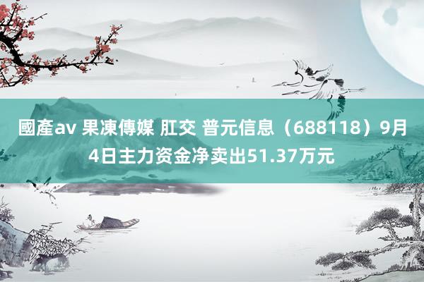 國產av 果凍傳媒 肛交 普元信息(688118)9月4日主力资金净卖出51.37万元