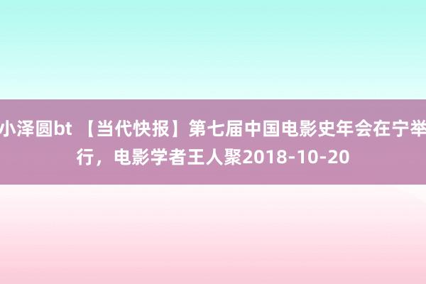 小泽圆bt 【当代快报】第七届中国电影史年会在宁举行,电影学者王人聚2018-10-20
