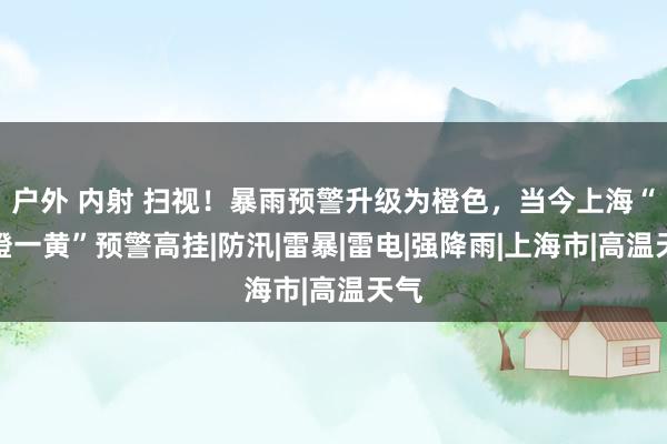 户外 内射 扫视!暴雨预警升级为橙色,当今上海“一橙一黄”预警高挂|防汛|雷暴|雷电|强降雨|上海市|高温天气