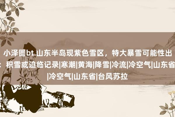 小泽圆bt 山东半岛现紫色雪区,特大暴雪可能性出现!分析:积雪或迫临记录|寒潮|黄海|降雪|冷流|冷空气|山东省|台风苏拉