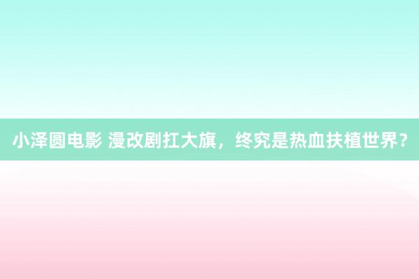小泽圆电影 漫改剧扛大旗,终究是热血扶植世界?
