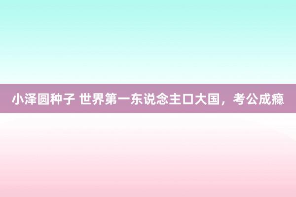 小泽圆种子 世界第一东说念主口大国,考公成瘾