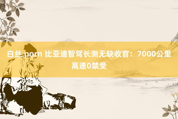 白丝 porn 比亚迪智驾长测无缺收官:7000公里高速0禁受