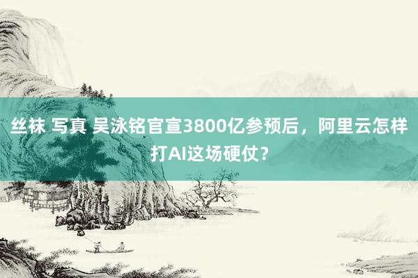 丝袜 写真 吴泳铭官宣3800亿参预后,阿里云怎样打AI这场硬仗?