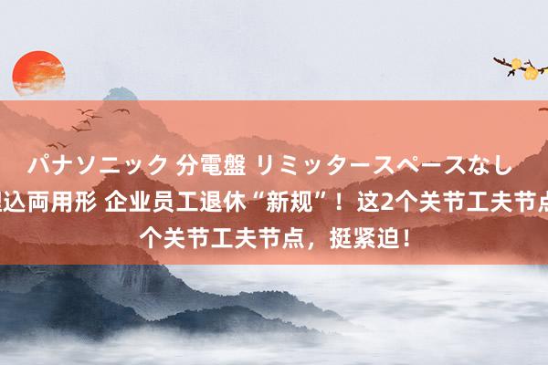 パナソニック 分電盤 リミッタースペースなし 露出・半埋込両用形 企业员工退休“新规”!这2个关节工夫节点,挺紧迫!