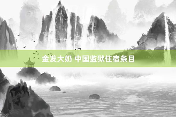 金发大奶 中国监狱住宿条目