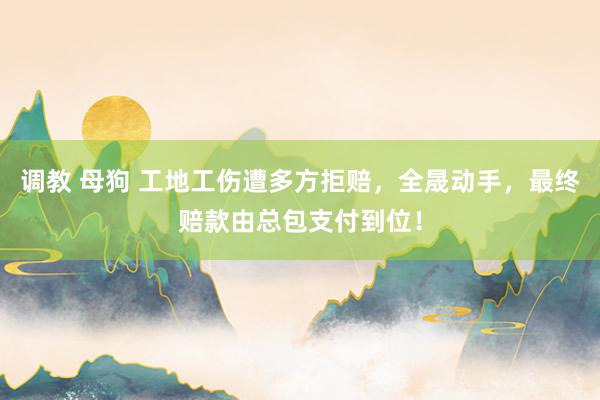 调教 母狗 工地工伤遭多方拒赔,全晟动手,最终赔款由总包支付到位!