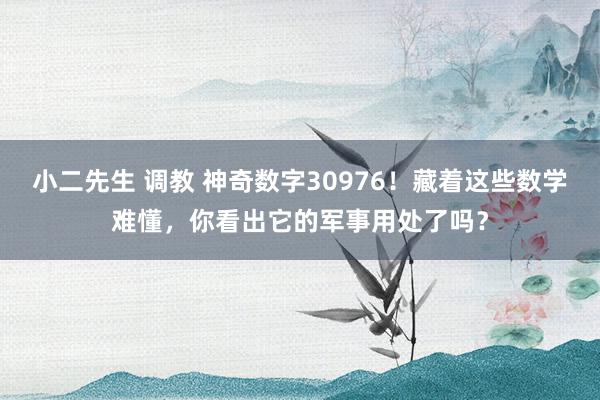 小二先生 调教 神奇数字30976!藏着这些数学难懂,你看出它的军事用处了吗?