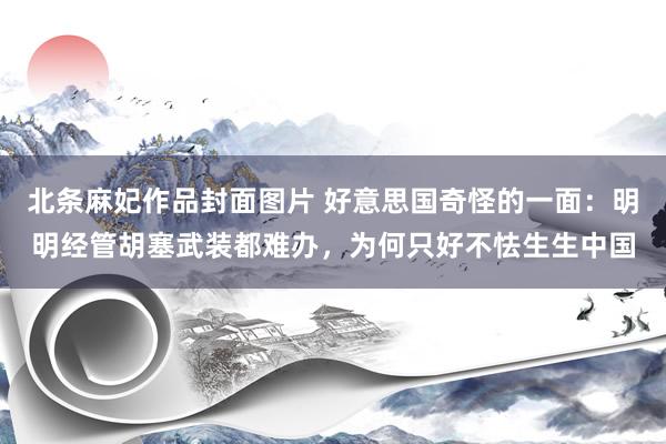 北条麻妃作品封面图片 好意思国奇怪的一面:明明经管胡塞武装都难办,为何只好不怯生生中国