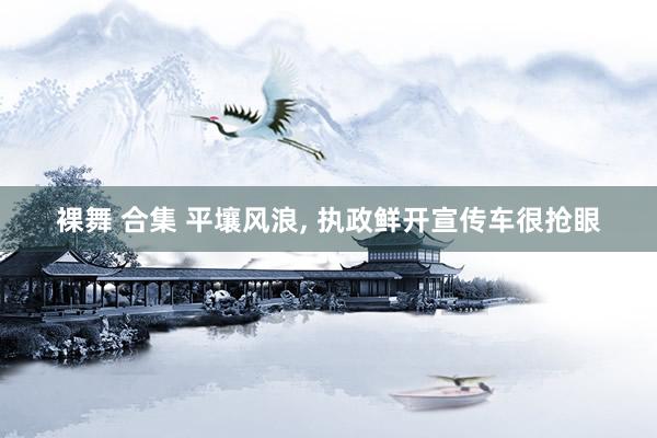 裸舞 合集 平壤风浪, 执政鲜开宣传车很抢眼