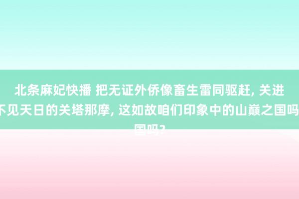北条麻妃快播 把无证外侨像畜生雷同驱赶, 关进不见天日的关塔那摩, 这如故咱们印象中的山巅之国吗?