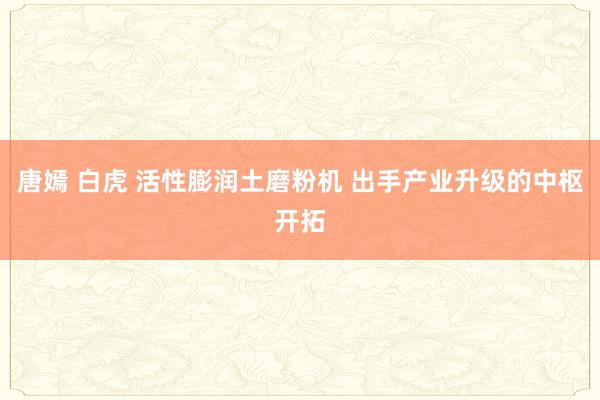 唐嫣 白虎 活性膨润土磨粉机 出手产业升级的中枢开拓