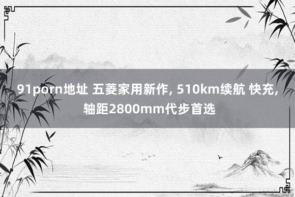 91porn地址 五菱家用新作, 510km续航 快充, 轴距2800mm代步首选