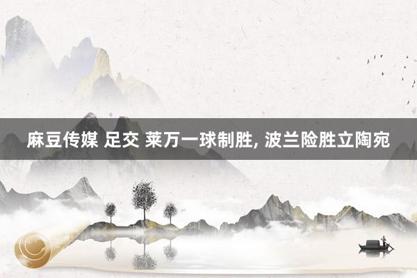 麻豆传媒 足交 莱万一球制胜, 波兰险胜立陶宛