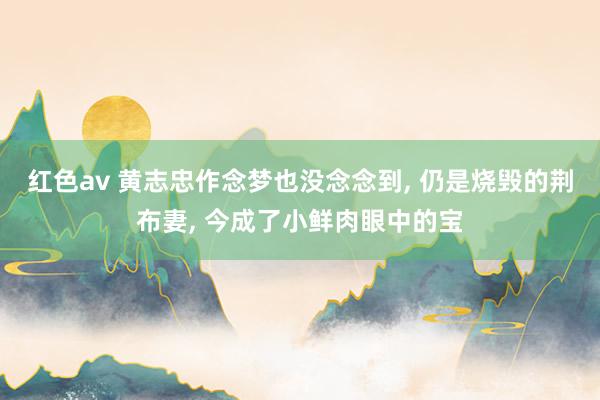 红色av 黄志忠作念梦也没念念到, 仍是烧毁的荆布妻, 今成了小鲜肉眼中的宝