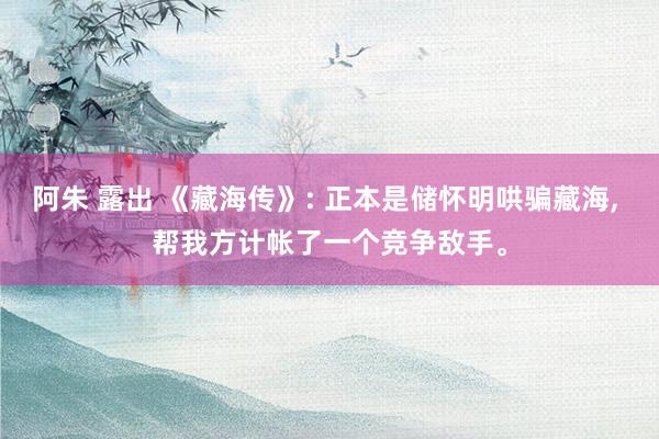 阿朱 露出 《藏海传》: 正本是储怀明哄骗藏海, 帮我方计帐了一个竞争敌手。
