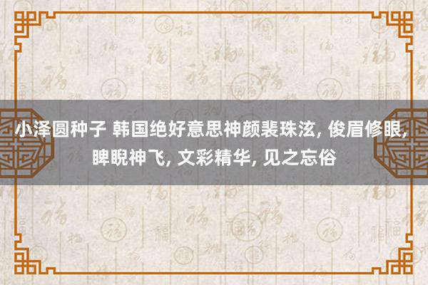 小泽圆种子 韩国绝好意思神颜裴珠泫, 俊眉修眼, 睥睨神飞, 文彩精华, 见之忘俗