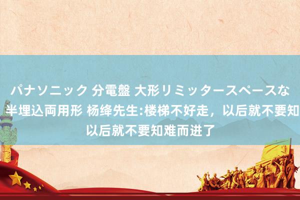 パナソニック 分電盤 大形リミッタースペースなし 露出・半埋込両用形 杨绛先生:楼梯不好走,以后就不要知难而进了