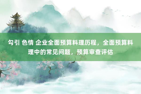 勾引 色情 企业全面预算料理历程,全面预算料理中的常见问题,预算审查评估