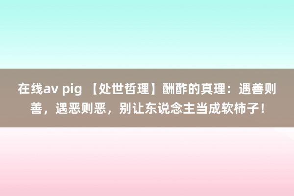 在线av pig 【处世哲理】酬酢的真理:遇善则善,遇恶则恶,别让东说念主当成软柿子!
