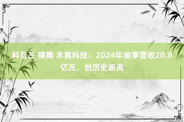 科目三 裸舞 禾赛科技:2024年竣事营收20.8亿元,创历史新高