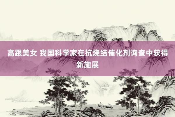 高跟美女 我国科学家在抗烧结催化剂询查中获得新施展
